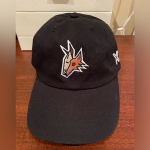 Arizona Coyotes Hat